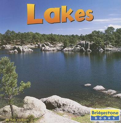 Book cover for Lakes