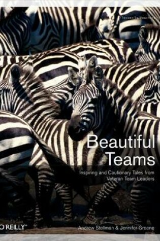 Cover of Beautiful Teams