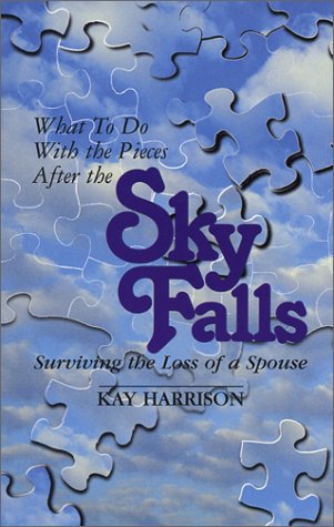 Book cover for What to Do with the Pieces After the Sky Falls