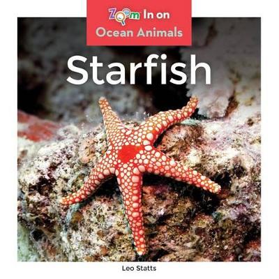 Book cover for Starfish