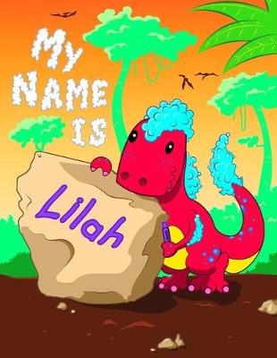 Book cover for My Name is Lilah