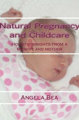 Cover of Natural Pregancy and Childcare