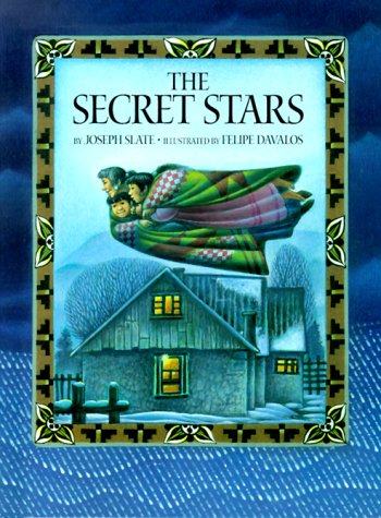 Book cover for The Secret Stars