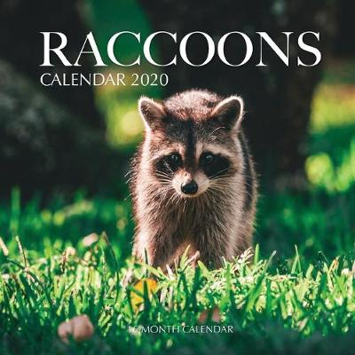 Book cover for Raccoons Calendar 2020