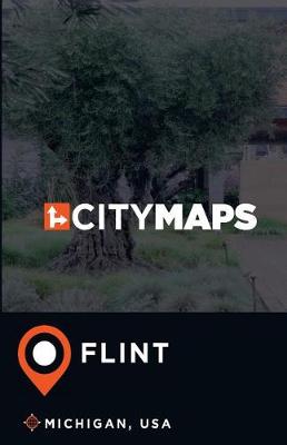 Book cover for City Maps Flint Michigan, USA