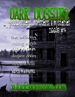 Book cover for Dark Dossier #14