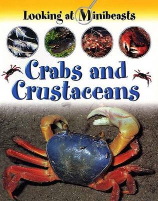 Cover of Crabs and Crustaceans