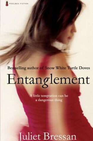 Cover of Entanglement