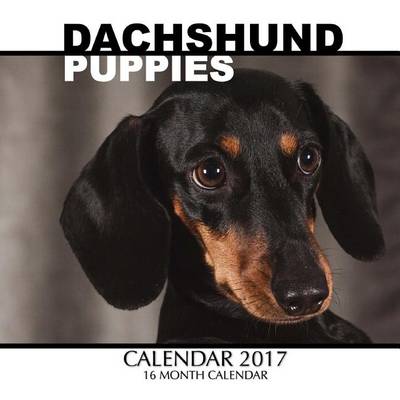 Book cover for Dachshund Puppies Calendar 2017