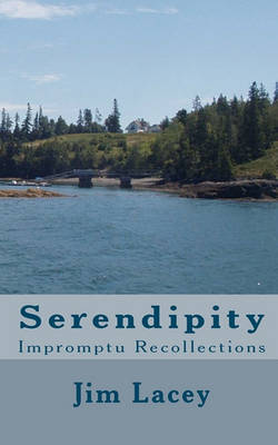 Book cover for Serendipity