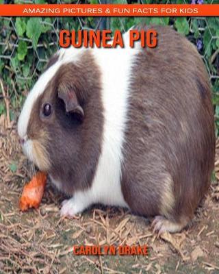 Book cover for Guinea pig