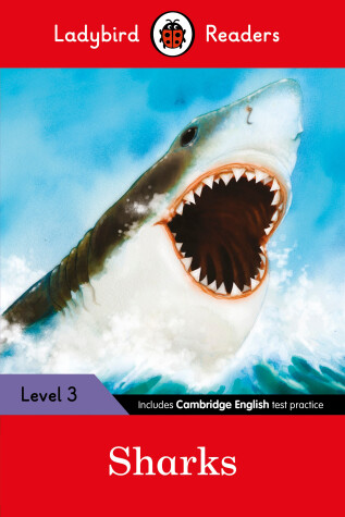 Book cover for Sharks: Ladybird Readers Level 3