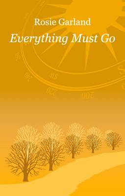 Book cover for Everything Must Go