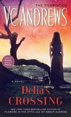 Book cover for Delia's Crossing, 1