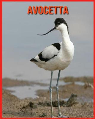 Book cover for Avocetta