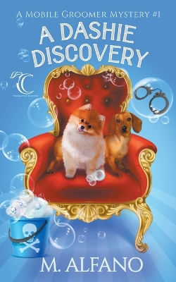 Book cover for A Dashie Discovery