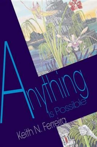 Cover of Anything Is Possible