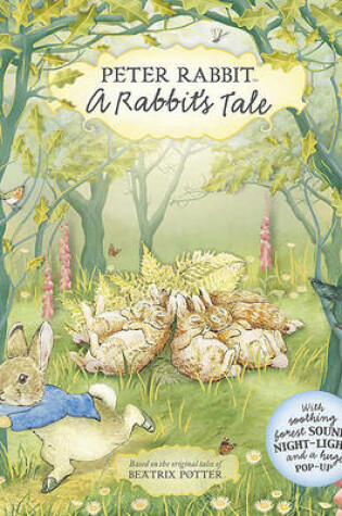 Cover of A Rabbit's Tale