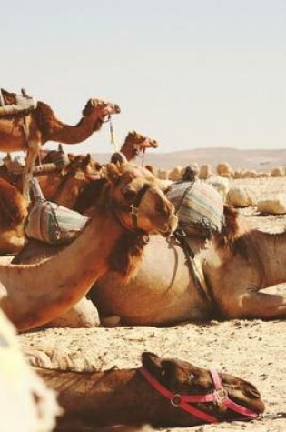 Cover of Camel Rest Stop in the Desert