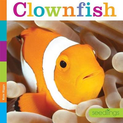 Cover of Seedlings: Clownfish