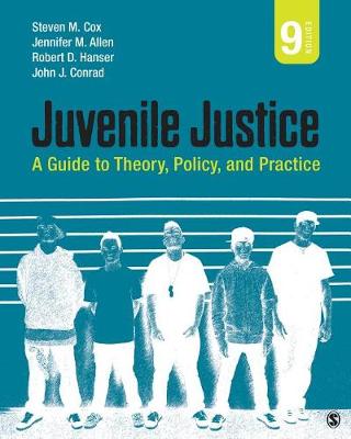 Book cover for Juvenile Justice