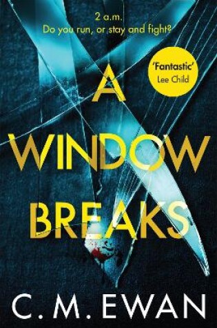 Cover of A Window Breaks