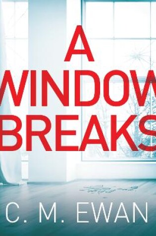 Cover of A Window Breaks