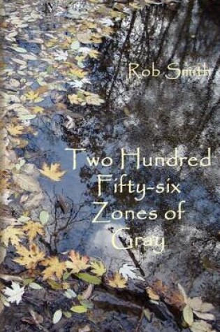 Cover of 256 Zones of Gray: Poems