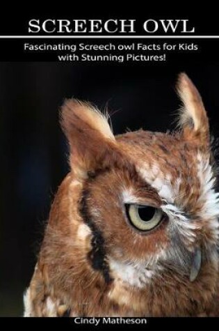 Cover of Screech Owl