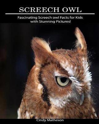 Book cover for Screech Owl