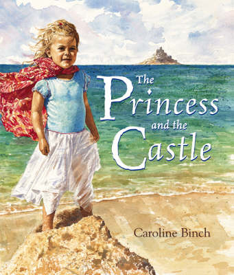 Book cover for PRINCESS AND THE CASTLE THE