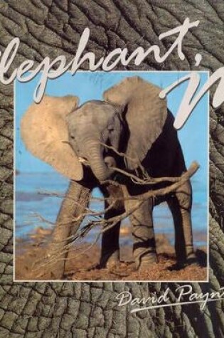 Cover of Elephant, me