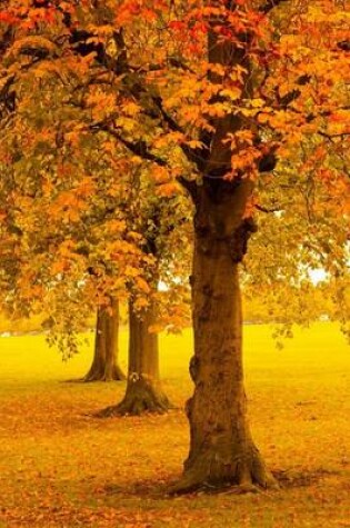 Cover of Beautiful Autumn Leaves on Trees, for the Love of Nature