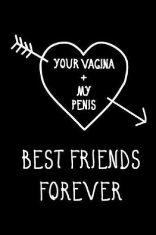 Cover of Your Vagina + My Penis, Best Friends Forever