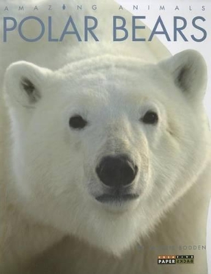 Book cover for Polar Bears