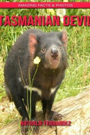 Cover of Tasmanian Devil