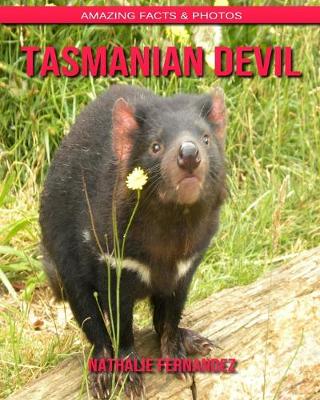 Book cover for Tasmanian Devil