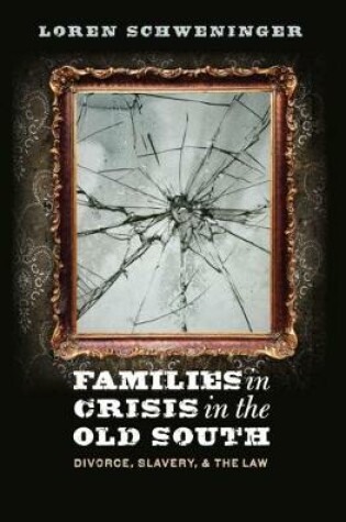 Cover of Families in Crisis in the Old South