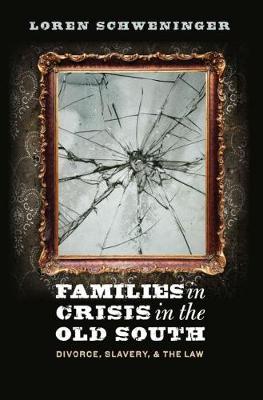 Book cover for Families in Crisis in the Old South