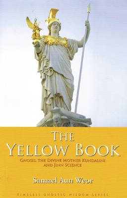 Book cover for The Yellow Book