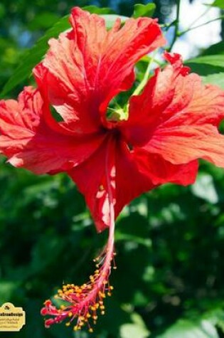 Cover of Writedrawdesign Notebook, Blank/College Ruled, 8.5 X 11, Red Hibiscus Flower