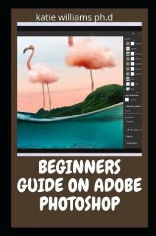 Cover of Beginners Guide on Adobe Photoshop