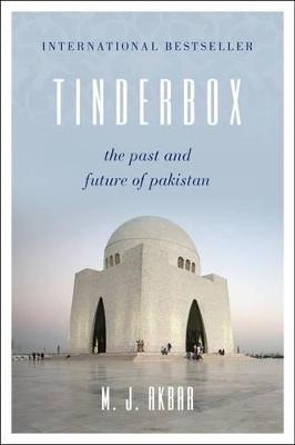 Book cover for Tinderbox