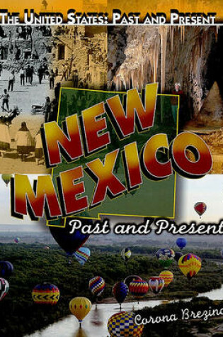 Cover of New Mexico