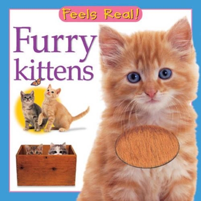 Book cover for Furry Kittens