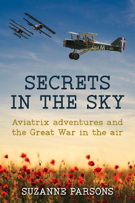 Cover of Secrets in the Sky