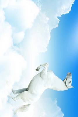 Book cover for White Horse Rearing in the Clouds