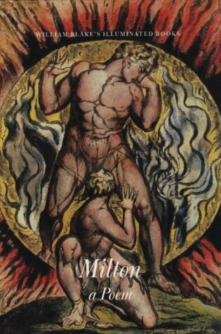 Cover of The Illuminated Books of William Blake, Volume 5