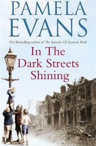 Cover of In the Dark Streets Shining