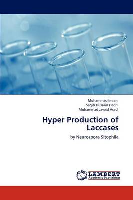 Book cover for Hyper Production of Laccases